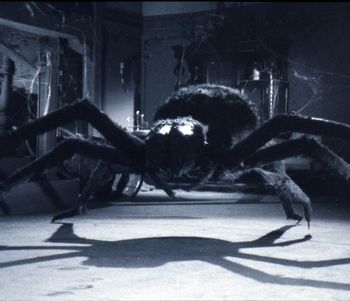 https://static.tvtropes.org/pmwiki/pub/images/tarantula.png