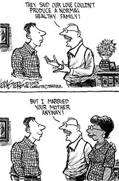 Maligned Mixed Marriage (trope)