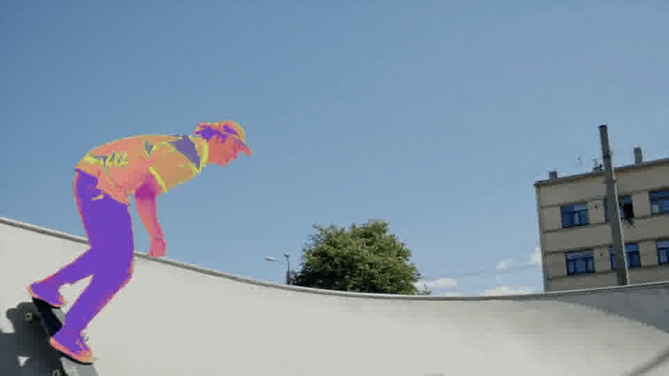 sam-2-video