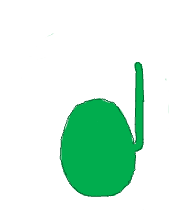 Lateral