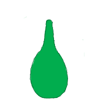 Terminal (apical)