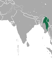 Eastern Hoolock Gibbon range
