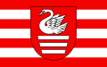 chórgoj