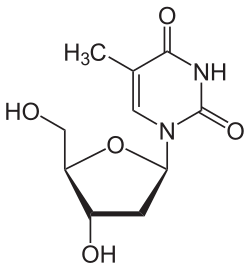 Skeletal formula of thymidine