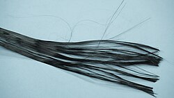 Carbon fiber bundle