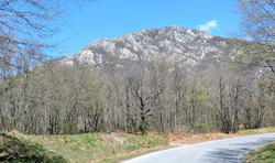 Photo shows a very rocky-looking mountain.