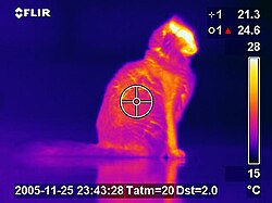 Termograf