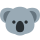 🐨
