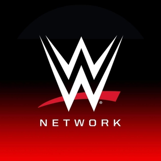 File:WWE Network logo.jpeg