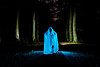 The phantom of the wood The phantom of the wood