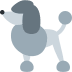 Poodle 🐩