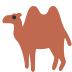 Bactrian camel 🐫