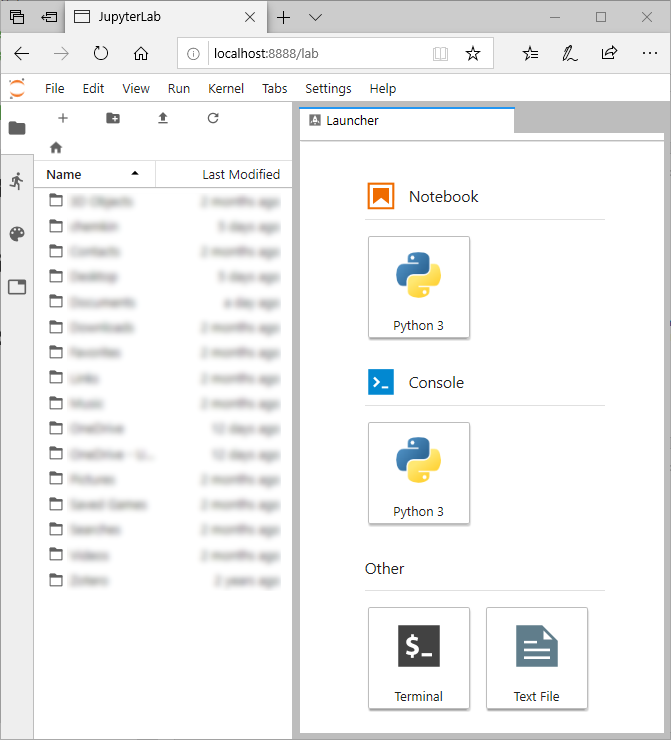 JupyterLab's Main Window