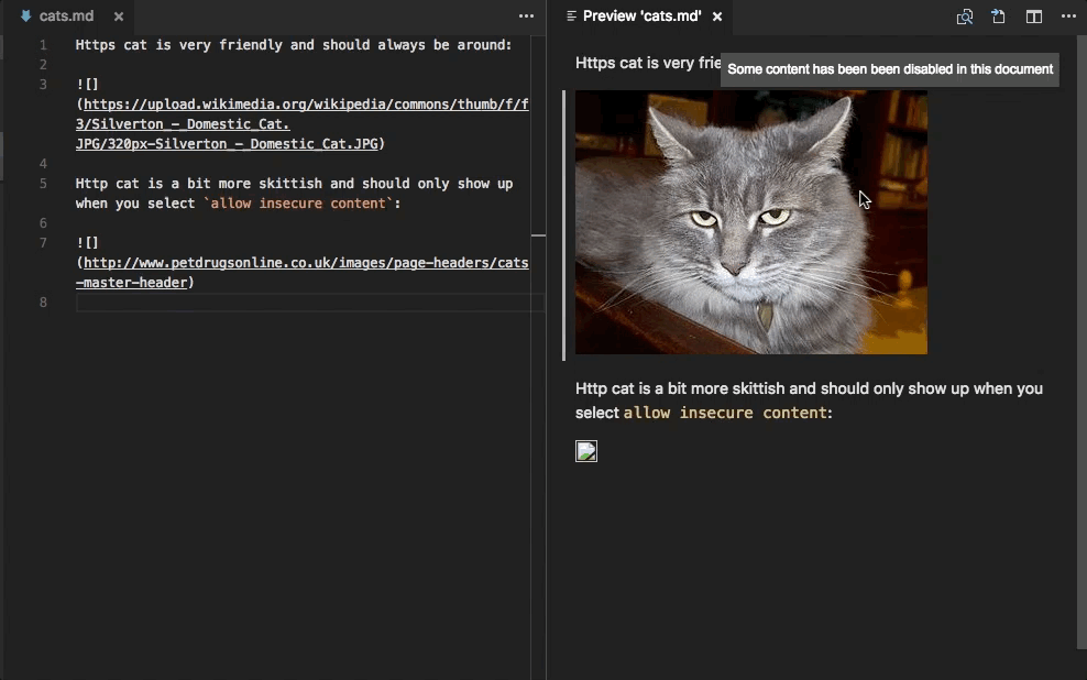 Changing the markdown preview's security settings