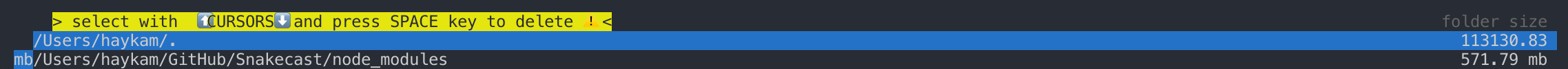 npkill showing home directory