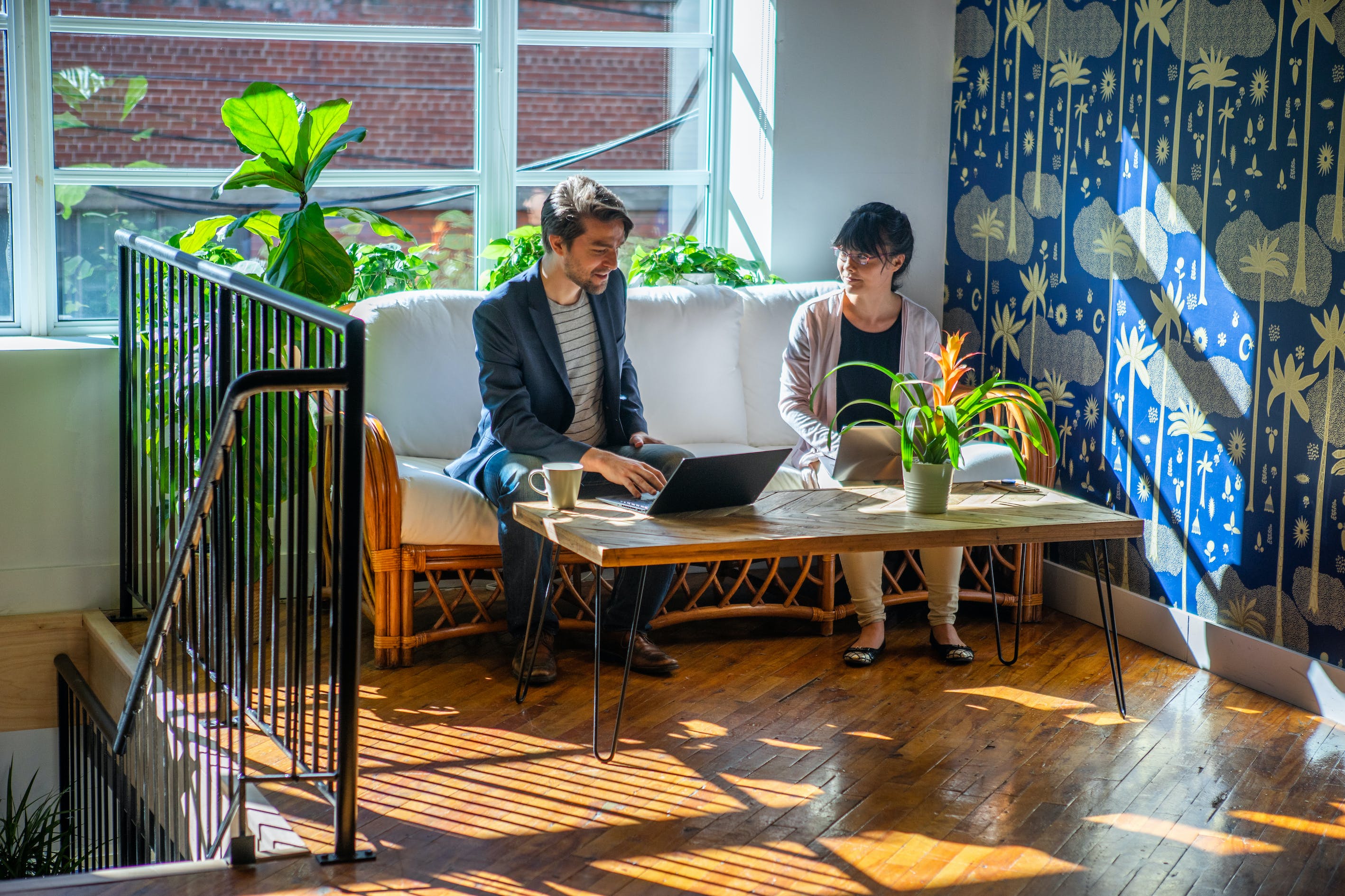 man and woman working on a couch plotly headquarters greenery plants