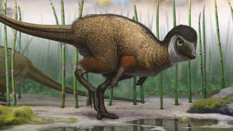 Hear about feathered dinosaur fossils from Middle Jurassic period