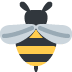 شہد کی مکھی 🐝