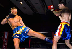 low_kick