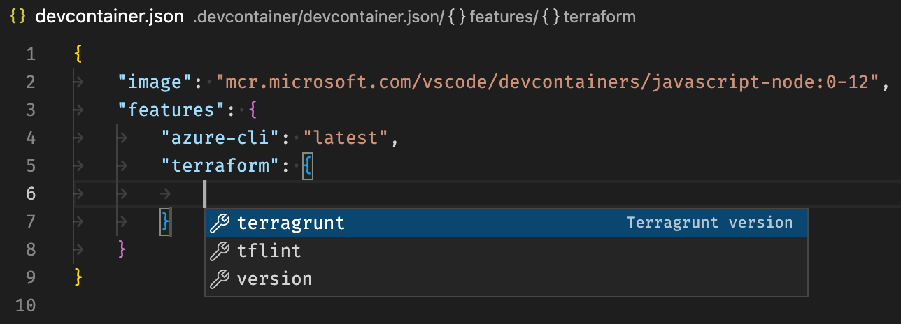 Intellisense when modifying terraform feature
