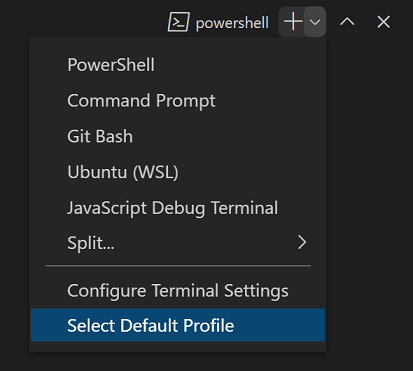 Integrated terminal dropdown