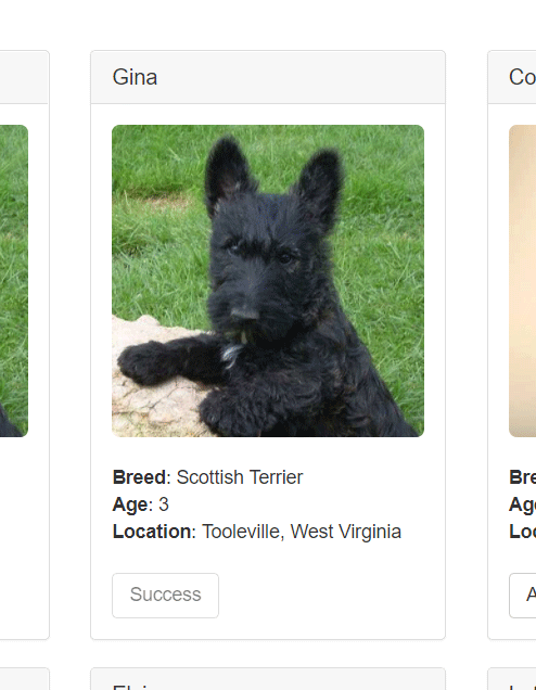 Adoption success Adoption success