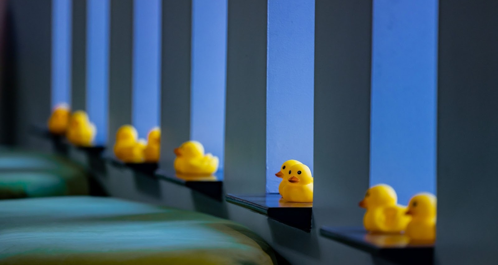 What's with all the ducks?