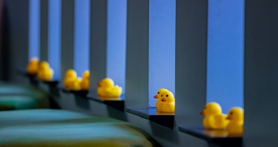 What's with all the ducks?