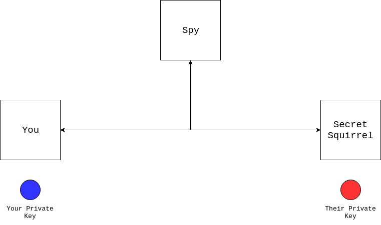 Initial setup of Diffie Hellman Key Exchange