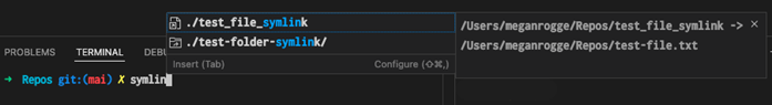 Screenshot showing the terminal suggest shows the symlink's path -> real path.