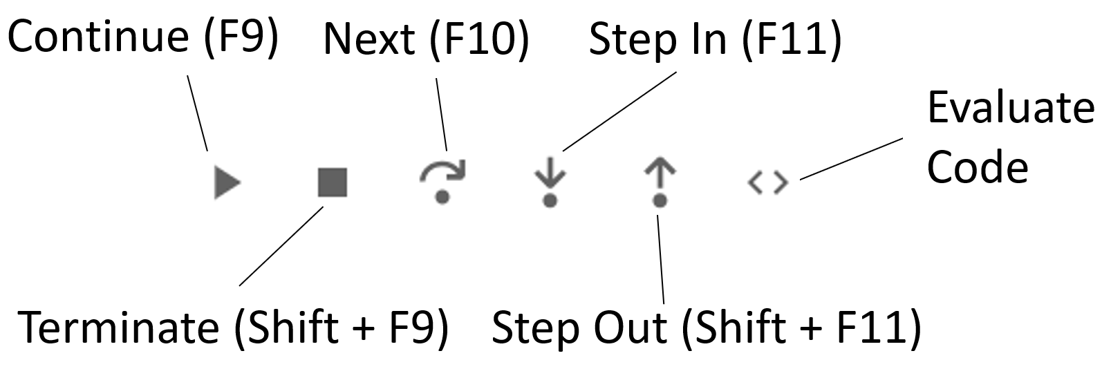 debugger options