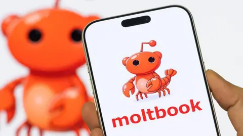 Close up of a person holding a smartphone displaying the Moltbook logo and mascot against a white background with a similar image enlarged