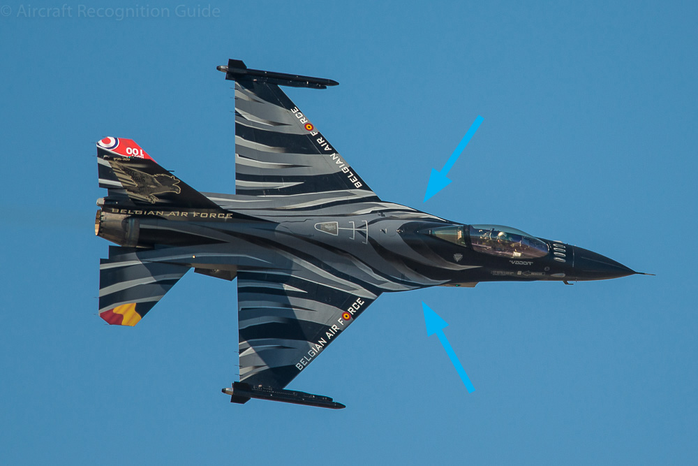 On this top view the cropped delta wings with leading edge extensions are clearly visible. Image