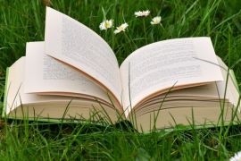 blogs كتب
