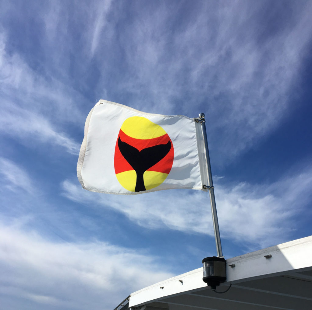 whale-warning-flag Whale Warning Flag on a vessel
