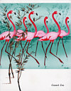 21 July 1951 Luncheon menu cover