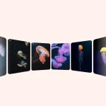 Lightweight Pure CSS 3D Carousel with Fade in/out Effects