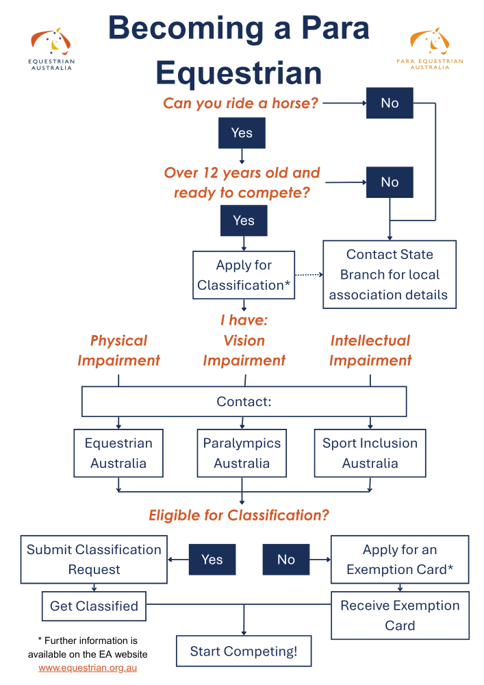 Steps to becoming a para equestrian Flow chart showing steps to become a para equestrian