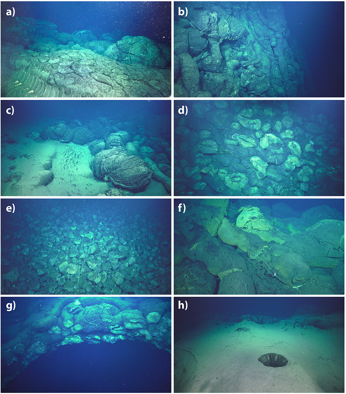 FIGURE 11