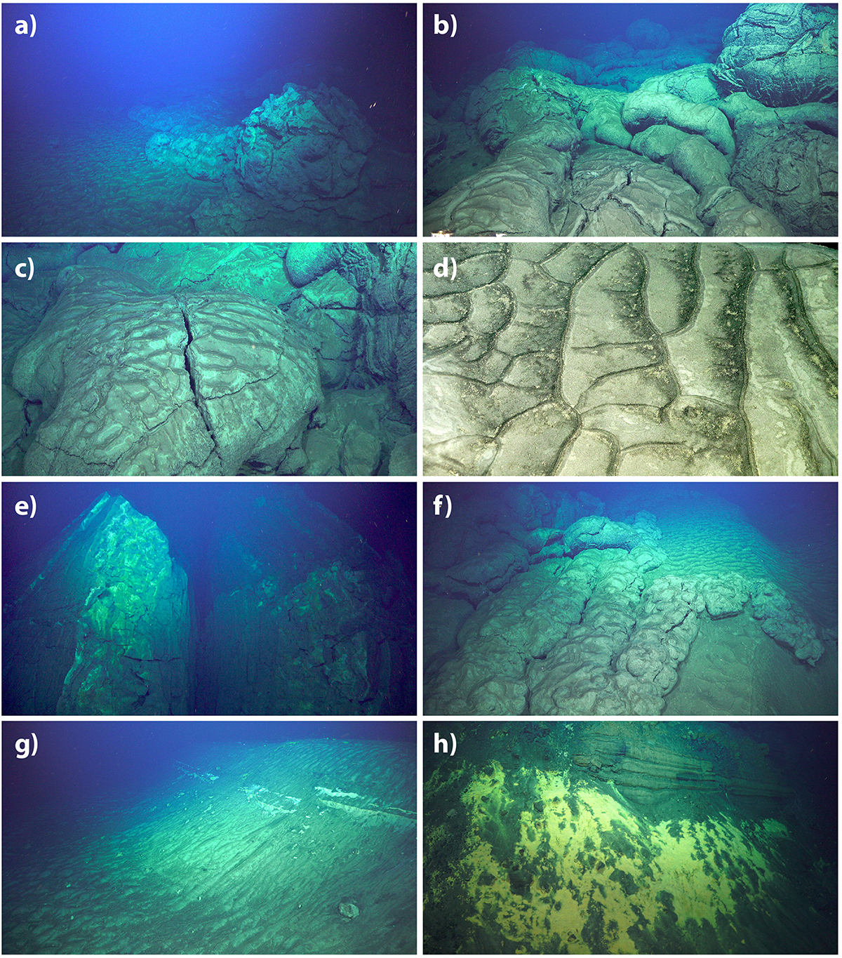 FIGURE 13
