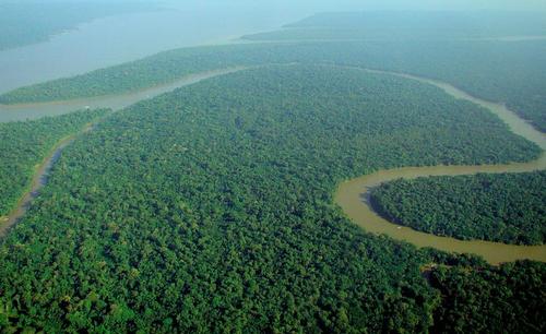 Amazone Brazilie Amazone Brazilie