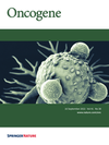Image on the cover of the journal containing the article (2022) Oncogene </em> 41: 4333–4335 doi: 10.1038/s41388-022-02424-5