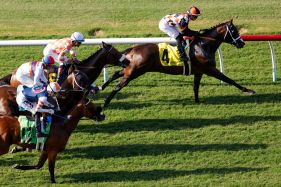 SUT-L-delmar-0718-mm-025 Proletariat ridden by Kyle Frey leads the pack to eventually win the eighth race of Opening Day at the Del Mar Racetrack on Friday, July 17, 2026 in Del Mar, California.