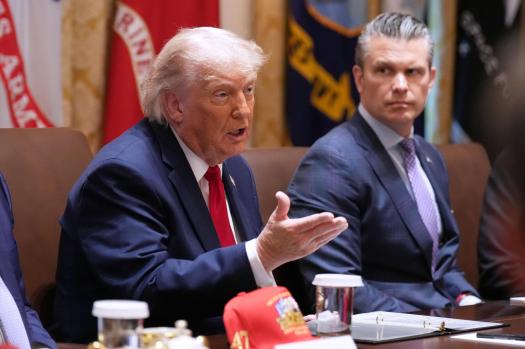 Trump__3197-1 President Donald Trump speaks during a Cabinet meeting.
