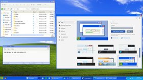 WindowBlinds 11