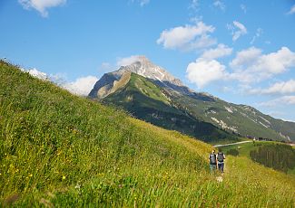 Zwei Wanderer durchqueren eine blühende Almwiese mit beeindruckendem Bergpanorama unter strahlend blauem Himmel.