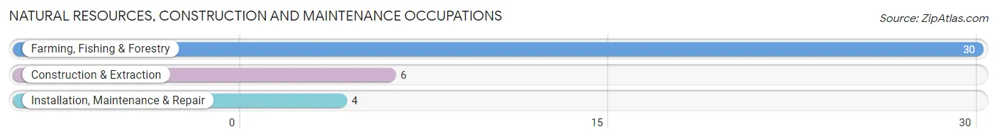 Natural Resources, Construction and Maintenance Occupations in Macdoel