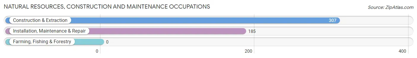 Natural Resources, Construction and Maintenance Occupations in Lisle