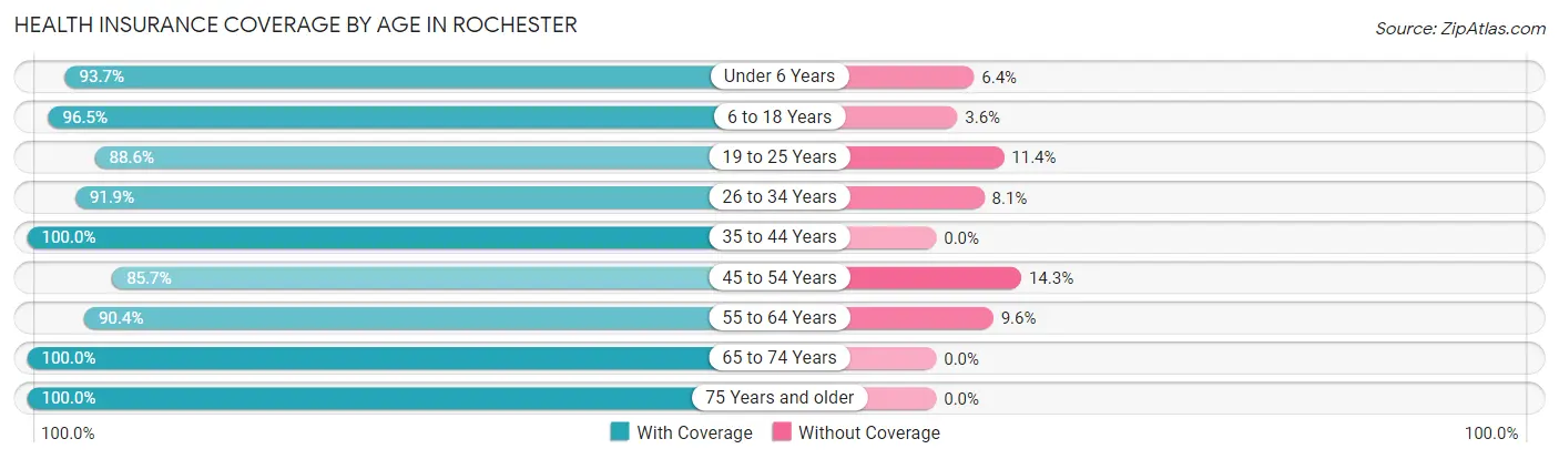 Health Insurance Coverage by Age in Rochester
