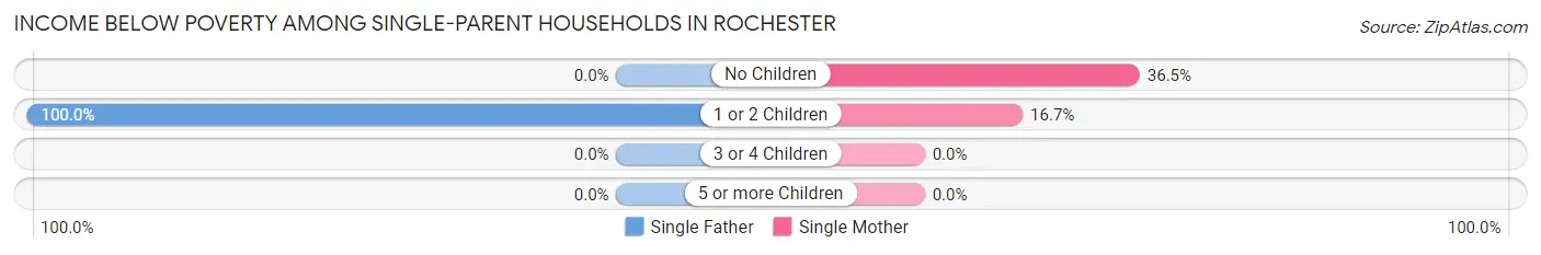 Income Below Poverty Among Single-Parent Households in Rochester